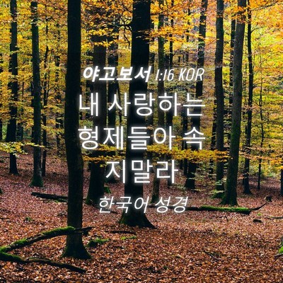 Picture 04 - 야고보서 1:16 KOR - 내 사랑하는 형제들아 - Bible Verse Picture