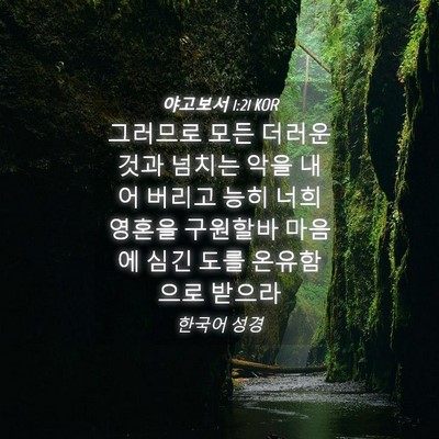 Picture 04 - 야고보서 1:21 KOR - 그러므로 모든 더러운 것과 넘치는 - Bible Verse Picture