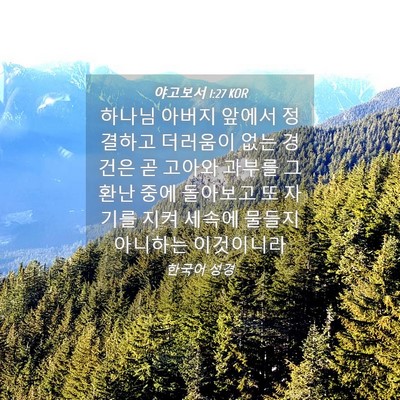 Picture 04 - 야고보서 1:27 KOR - 하나님 아버지 앞에서 정결하고 - Bible Verse Picture