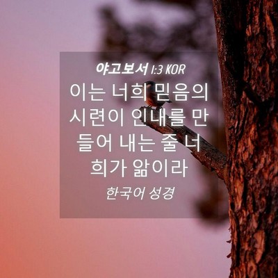 Picture 04 - 야고보서 1:3 KOR - 이는 너희 믿음의 시련이 인내를 - Bible Verse Picture