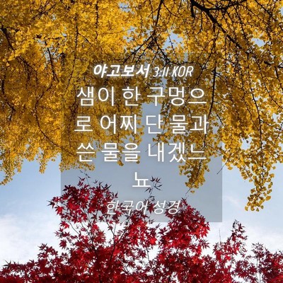 Picture 04 - 야고보서 3:11 KOR - 샘이 한 구멍으로 어찌 단 물과 쓴 - Bible Verse Picture
