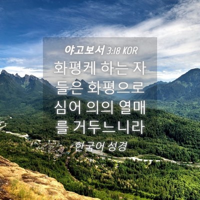 Picture 04 - 야고보서 3:18 KOR - 화평케 하는 자들은 화평으로 심어 - Bible Verse Picture