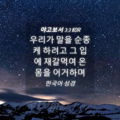 Picture 04 - 야고보서 3:3 KOR - 우리가 말을 순종케 하려고 그 입에 - Bible Verse Picture