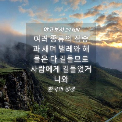 Picture 04 - 야고보서 3:7 KOR - 여러 종류의 짐승과 새며 벌레와 - Bible Verse Picture
