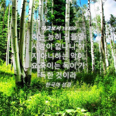 Picture 04 - 야고보서 3:8 KOR - 혀는 능히 길들일 사람이 없나니 - Bible Verse Picture