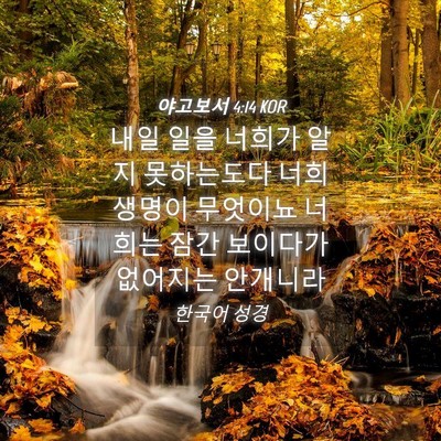Picture 04 - 야고보서 4:14 KOR - 내일 일을 너희가 알지 못하는도다 - Bible Verse Picture