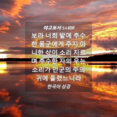 Picture 04 - 야고보서 5:4 KOR - 보라 너희 밭에 추수한 품군에게 - Bible Verse Picture