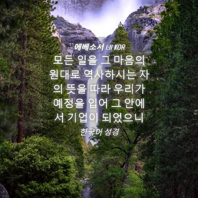 Picture 04 - 에베소서 1:11 KOR - 모든 일을 그 마음의 원대로 - Bible Verse Picture