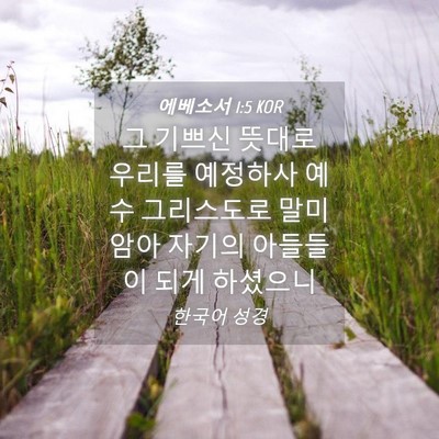 Picture 04 - 에베소서 1:5 KOR - 그 기쁘신 뜻대로 우리를 예정하사 - Bible Verse Picture