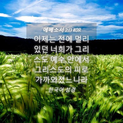 Picture 04 - 에베소서 2:13 KOR - 이제는 전에 멀리 있던 너희가 - Bible Verse Picture