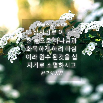 Picture 04 - 에베소서 2:16 KOR - 또 십자가로 이 둘을 한 몸으로 - Bible Verse Picture