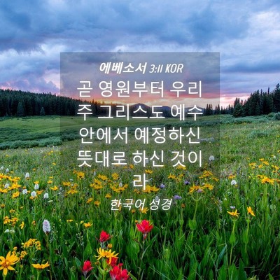Picture 04 - 에베소서 3:11 KOR - 곧 영원부터 우리 주 그리스도 예수 - Bible Verse Picture