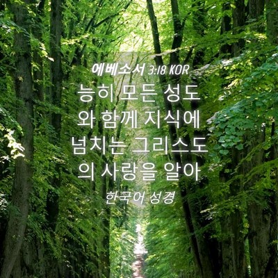 Picture 04 - 에베소서 3:18 KOR - 능히 모든 성도와 함께 지식에 - Bible Verse Picture
