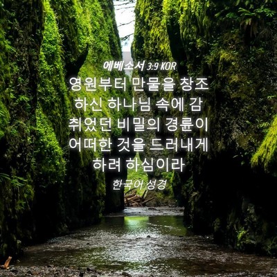 Picture 04 - 에베소서 3:9 KOR - 영원부터 만물을 창조하신 하나님 - Bible Verse Picture