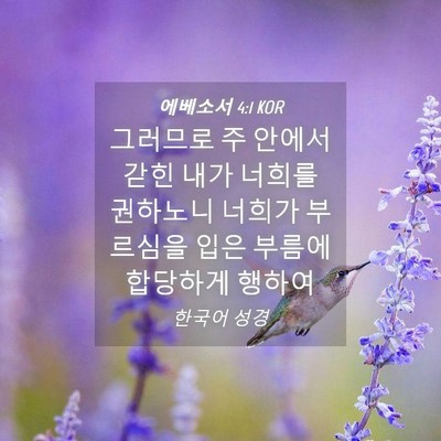 Picture 04 - 에베소서 4:1 KOR - 그러므로 주 안에서 갇힌 내가 - Bible Verse Picture