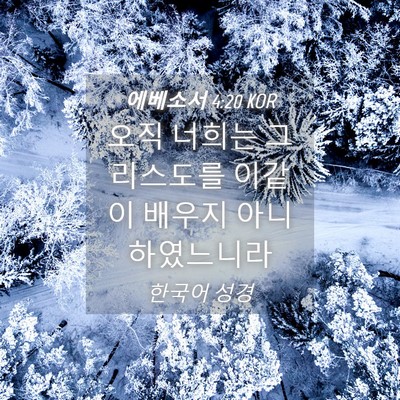 Picture 04 - 에베소서 4:20 KOR - 오직 너희는 그리스도를 이같이 - Bible Verse Picture