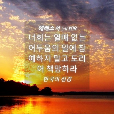 Picture 04 - 에베소서 5:11 KOR - 너희는 열매 없는 어두움의 일에 - Bible Verse Picture