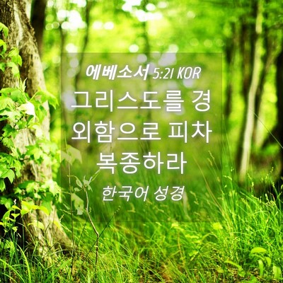 Picture 04 - 에베소서 5:21 KOR - 그리스도를 경외함으로 피차 - Bible Verse Picture