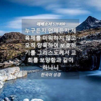 Picture 04 - 에베소서 5:29 KOR - 누구든지 언제든지 제 육체를 - Bible Verse Picture