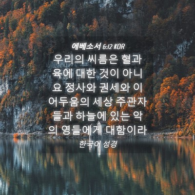 Picture 04 - 에베소서 6:12 KOR - 우리의 씨름은 혈과 육에 대한 것이 - Bible Verse Picture