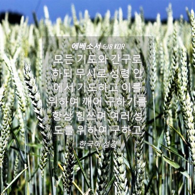 Picture 04 - 에베소서 6:18 KOR - 모든 기도와 간구로 하되 무시로 - Bible Verse Picture