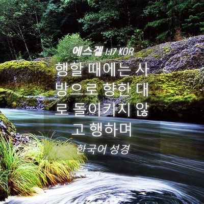 Picture 04 - 에스겔 1:17 KOR - 행할 때에는 사방으로 향한 대로 - Bible Verse Picture