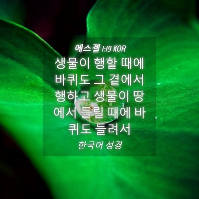 Picture 04 - 에스겔 1:19 KOR - 생물이 행할 때에 바퀴도 그 곁에서 - Bible Verse Picture