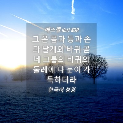 Picture 04 - 에스겔 10:12 KOR - 그 온 몸과 등과 손과 날개와 바퀴 곧 - Bible Verse Picture