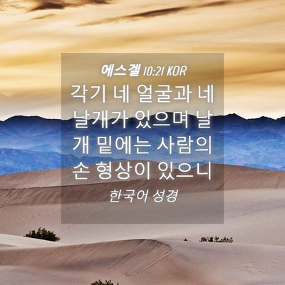Picture 04 - 에스겔 10:21 KOR - 각기 네 얼굴과 네 날개가 있으며 - Bible Verse Picture