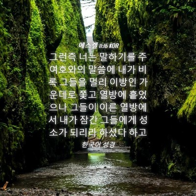 Picture 04 - 에스겔 11:16 KOR - 그런즉 너는 말하기를 주 여호와의 - Bible Verse Picture