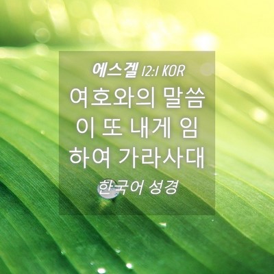 Picture 04 - 에스겔 12:1 KOR - 여호와의 말씀이 또 내게 임하여 - Bible Verse Picture