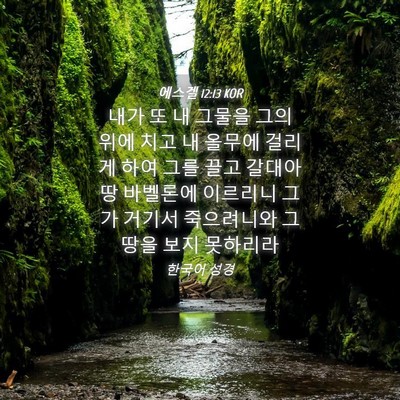 Picture 04 - 에스겔 12:13 KOR - 내가 또 내 그물을 그의 위에 치고 내 - Bible Verse Picture