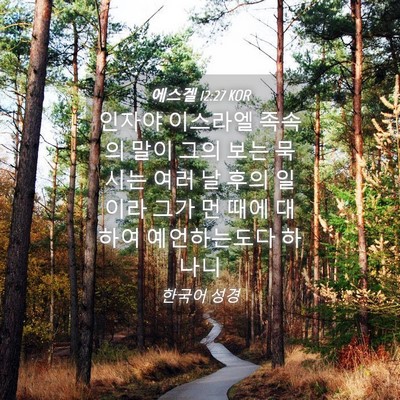 Picture 04 - 에스겔 12:27 KOR - 인자야 이스라엘 족속의 말이 그의 - Bible Verse Picture