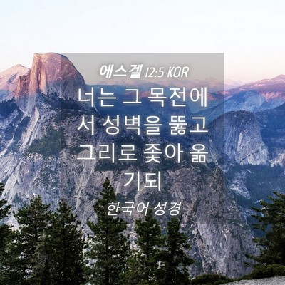 Picture 04 - 에스겔 12:5 KOR - 너는 그 목전에서 성벽을 뚫고 - Bible Verse Picture