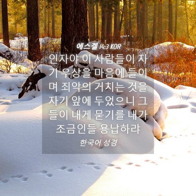 Picture 04 - 에스겔 14:3 KOR - 인자야 이 사람들이 자기 우상을 - Bible Verse Picture