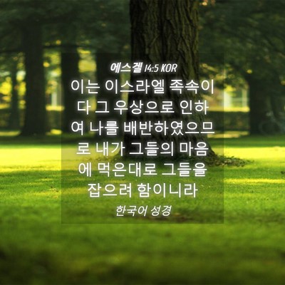Picture 04 - 에스겔 14:5 KOR - 이는 이스라엘 족속이 다 그 - Bible Verse Picture