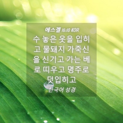 Picture 04 - 에스겔 16:10 KOR - 수 놓은 옷을 입히고 물돼지 - Bible Verse Picture