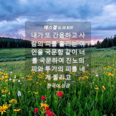 Picture 04 - 에스겔 16:38 KOR - 내가 또 간음하고 사람의 피를 - Bible Verse Picture