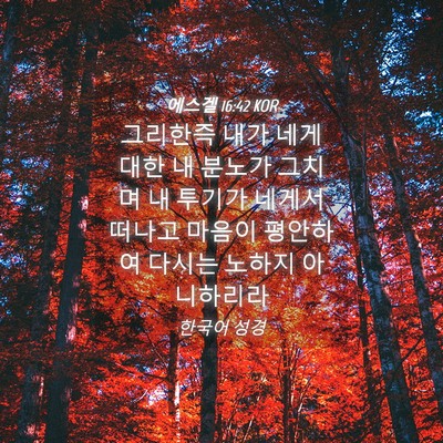 Picture 04 - 에스겔 16:42 KOR - 그리한즉 내가 네게 대한 내 분노가 - Bible Verse Picture