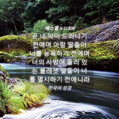 Picture 04 - 에스겔 16:57 KOR - 곧 네 악이 드러나기 전에며 아람 - Bible Verse Picture
