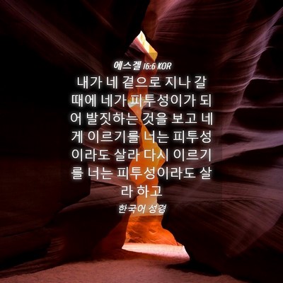 Picture 04 - 에스겔 16:6 KOR - 내가 네 곁으로 지나 갈 때에 네가 - Bible Verse Picture