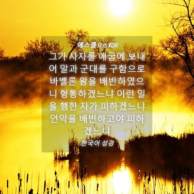 Picture 04 - 에스겔 17:15 KOR - 그가 사자를 애굽에 보내어 말과 - Bible Verse Picture