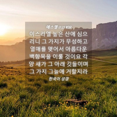Picture 04 - 에스겔 17:23 KOR - 이스라엘 높은 산에 심으리니 그 - Bible Verse Picture