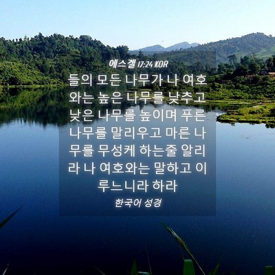 Picture 04 - 에스겔 17:24 KOR - 들의 모든 나무가 나 여호와는 높은 - Bible Verse Picture
