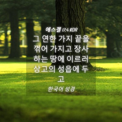 Picture 04 - 에스겔 17:4 KOR - 그 연한 가지 끝을 꺾어 가지고 - Bible Verse Picture
