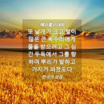 Picture 04 - 에스겔 17:7 KOR - 또 날개가 크고 털이 많은 큰 - Bible Verse Picture