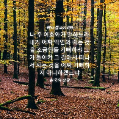 Picture 04 - 에스겔 18:23 KOR - 나 주 여호와가 말하노라 내가 어찌 - Bible Verse Picture