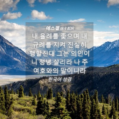 Picture 04 - 에스겔 18:9 KOR - 내 율례를 좇으며 내 규례를 지켜 - Bible Verse Picture
