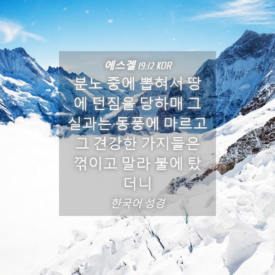Picture 04 - 에스겔 19:12 KOR - 분노 중에 뽑혀서 땅에 던짐을 - Bible Verse Picture