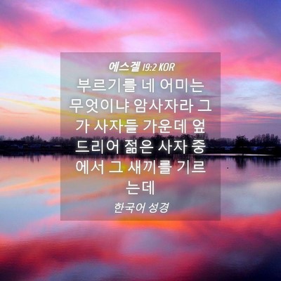 Picture 04 - 에스겔 19:2 KOR - 부르기를 네 어미는 무엇이냐 - Bible Verse Picture